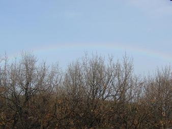 ����ǂ��䂭 in iruma