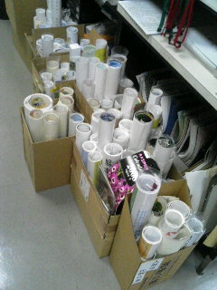 ����ǂ��䂭 in iruma