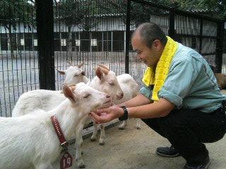 ����ǂ��䂭 in iruma