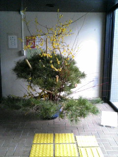 ����ǂ��䂭 in iruma