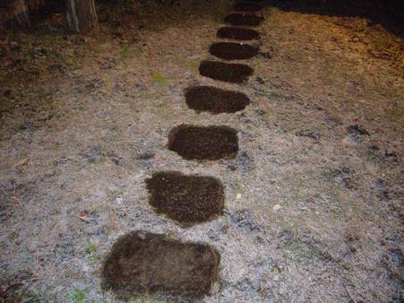 ����ǂ��䂭 in iruma