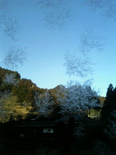 ����ǂ��䂭 in iruma