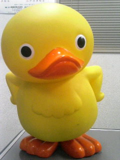 ����ǂ��䂭 in iruma