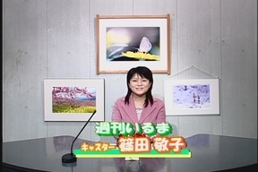 ����ǂ��䂭 in iruma