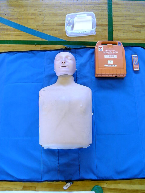 ����ǂ��䂭 in iruma