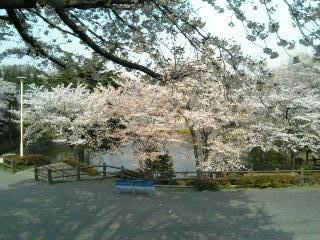 ����ǂ��䂭 in iruma