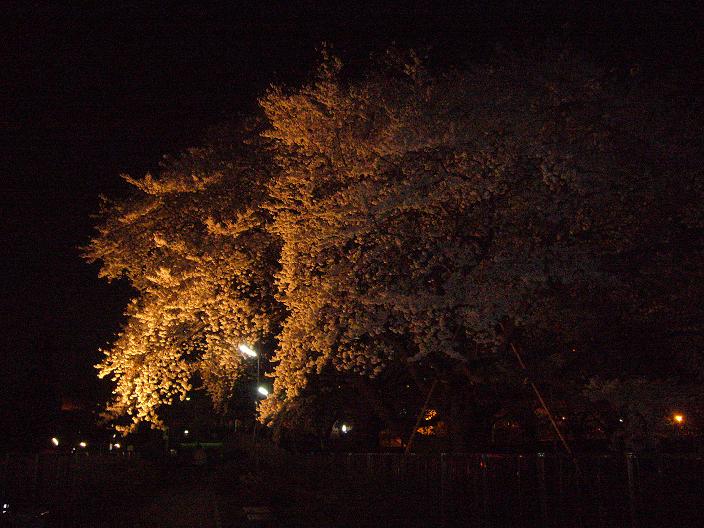 ����ǂ��䂭 in iruma