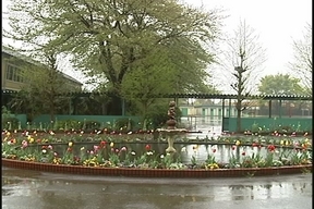 ����ǂ��䂭 in iruma