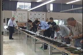 ����ǂ��䂭 in iruma