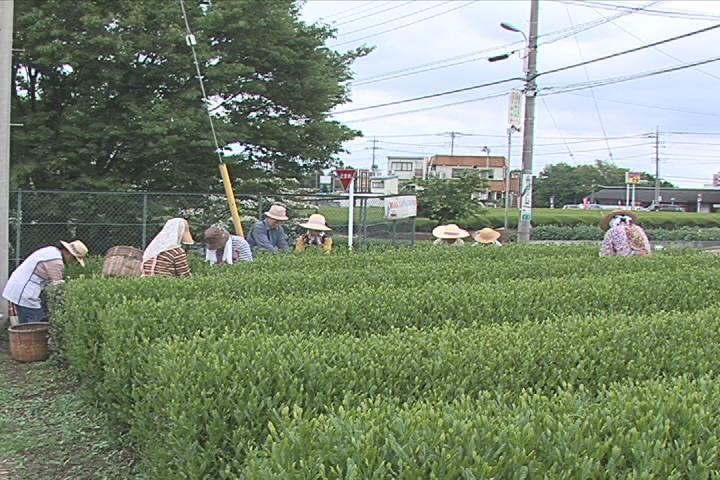 ����ǂ��䂭 in iruma