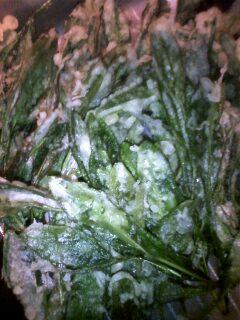 ����ǂ��䂭 in iruma