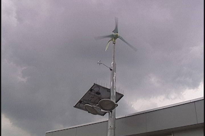 ����ǂ��䂭 in iruma