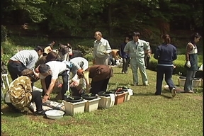 ����ǂ��䂭 in iruma