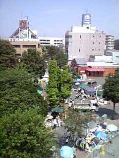 ����ǂ��䂭 in iruma