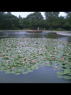 ����ǂ��䂭 in iruma