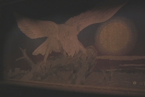 ����ǂ��䂭 in iruma