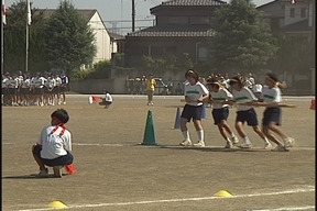 ����ǂ��䂭 in iruma