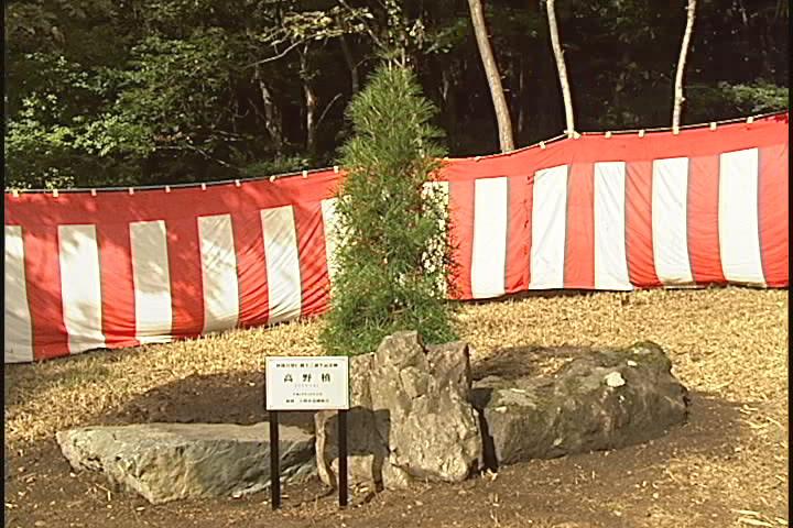 ����ǂ��䂭 in iruma