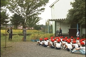 ����ǂ��䂭 in iruma