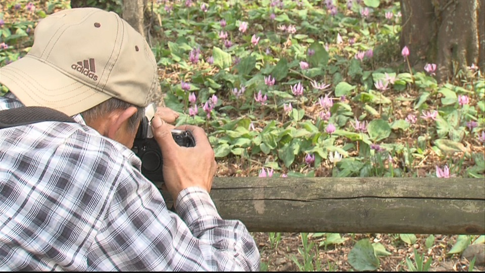 ����ǂ��䂭 In ����܂R