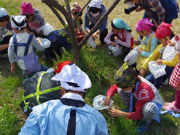 ����ǂ��䂭 In ����܂R