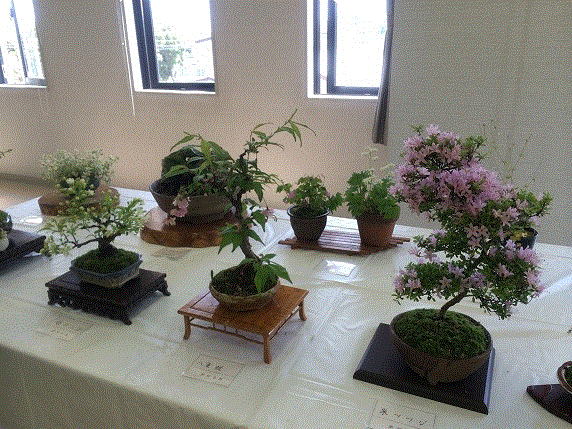 ����ǂ��䂭 In ����܂R