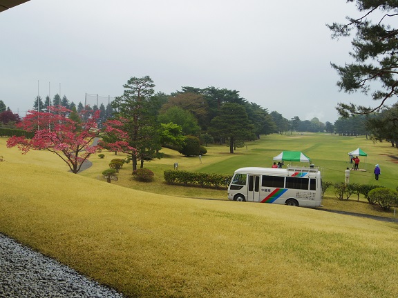 ����ǂ��䂭 In ����܂R