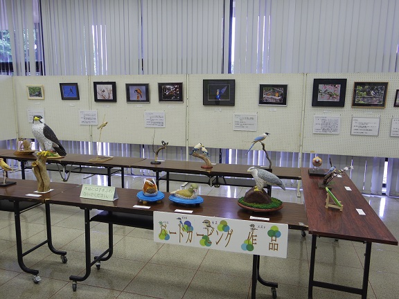 ����ǂ��䂭 In ����܂R