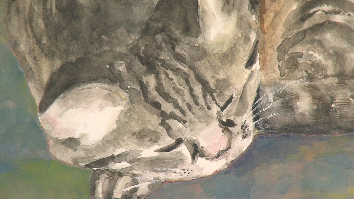 ����ǂ��䂭 In ����܂R