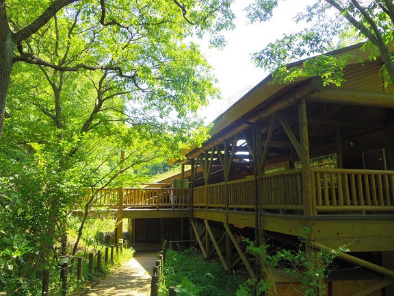 ����ǂ��䂭 In ����܂R