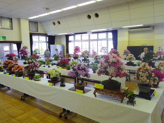 ����ǂ��䂭 In ����܂R