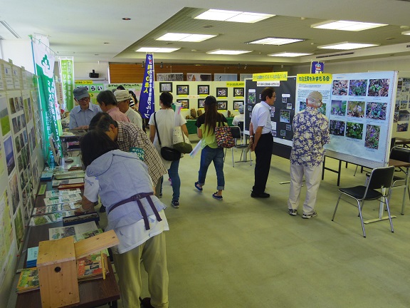 ����ǂ��䂭 In ����܂R