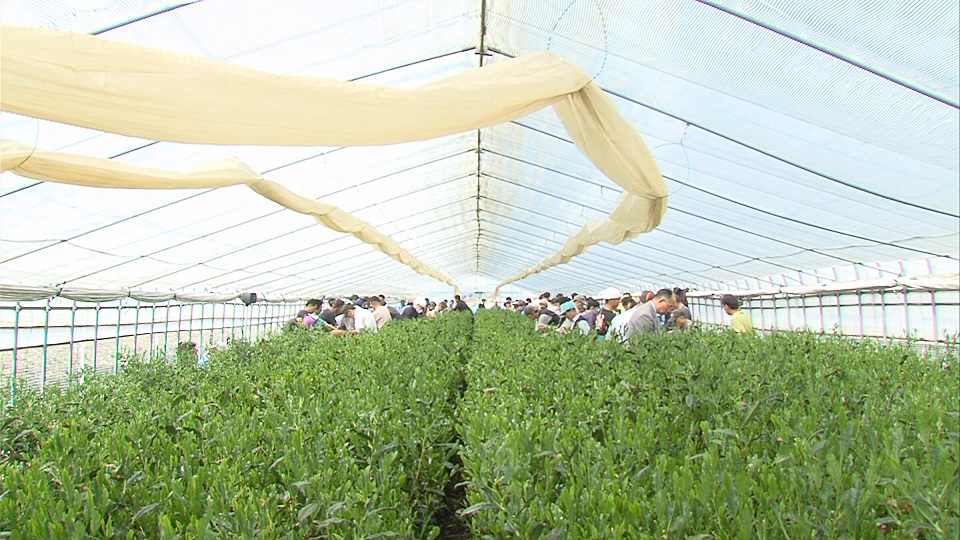 ����ǂ��䂭 In ����܂R