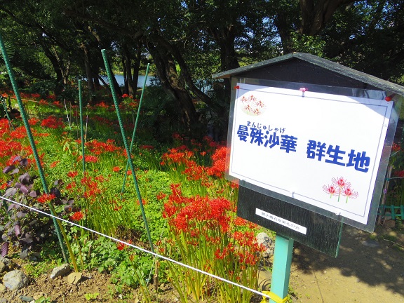 ����ǂ��䂭 In ����܂R