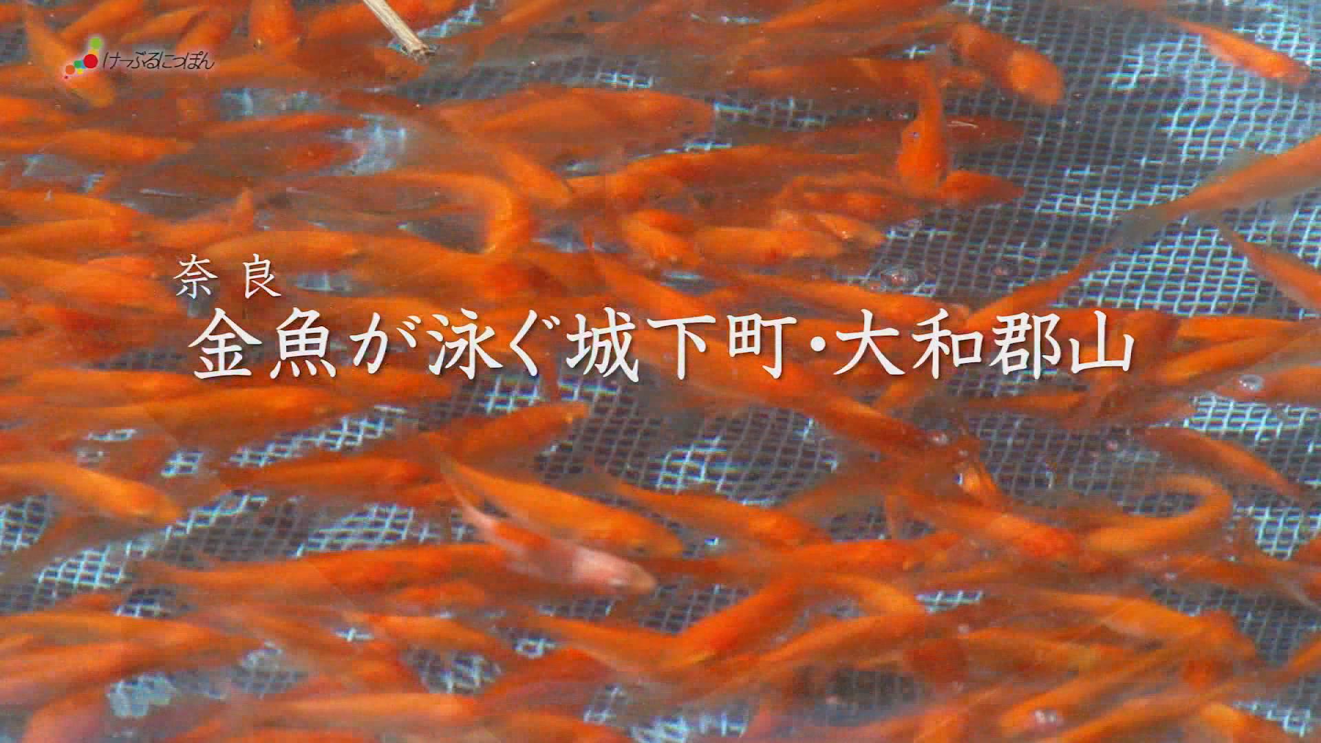 ����ǂ��䂭 In ����܂R