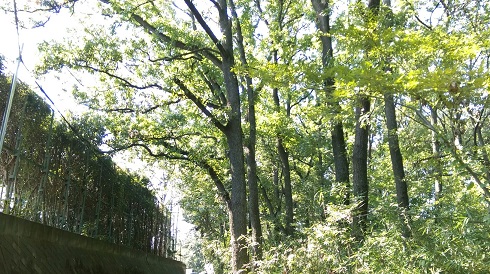 ����ǂ��䂭 In ����܂R