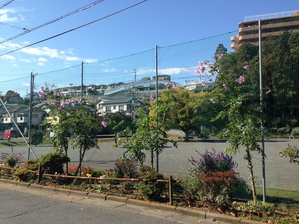 ����ǂ��䂭 In ����܂R