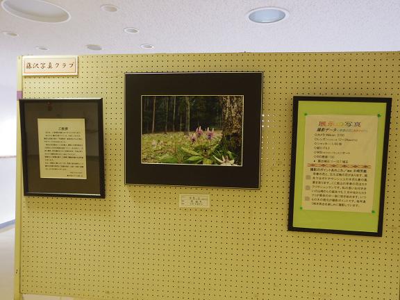 ����ǂ��䂭 In ����܂R