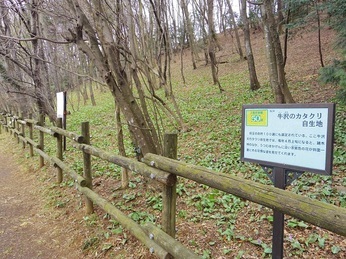 ����ǂ��䂭 In ����܂R