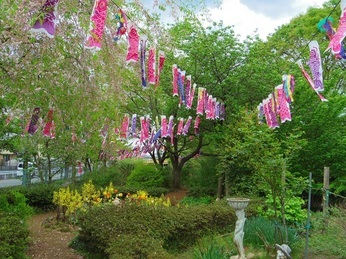 ����ǂ��䂭 In ����܂R