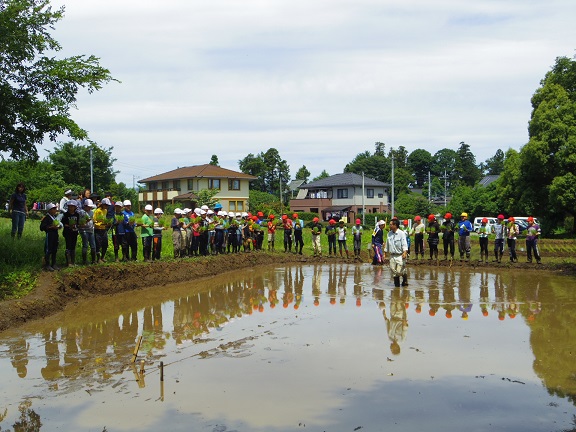 ����ǂ��䂭 In ����܂R