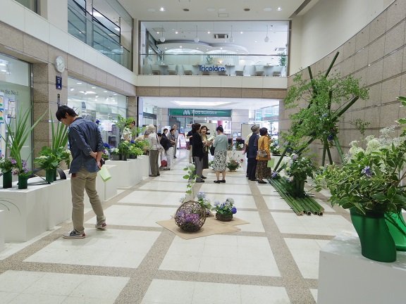 ����ǂ��䂭 In ����܂R