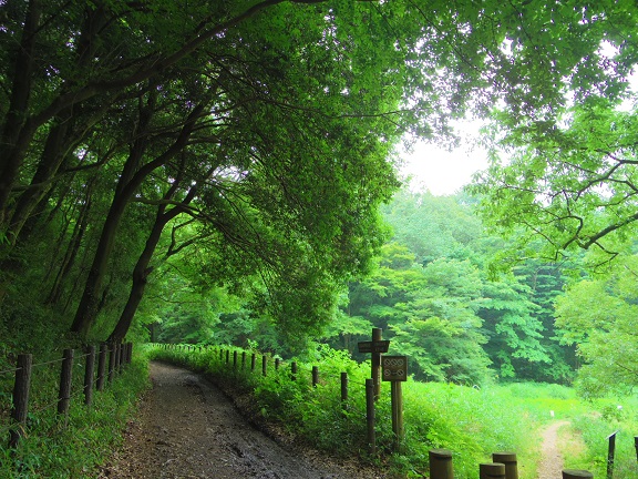 ����ǂ��䂭 In ����܂R