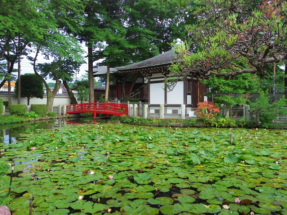 ����ǂ��䂭 In ����܂R