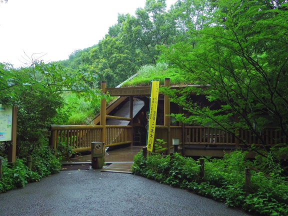 ����ǂ��䂭 In ����܂R