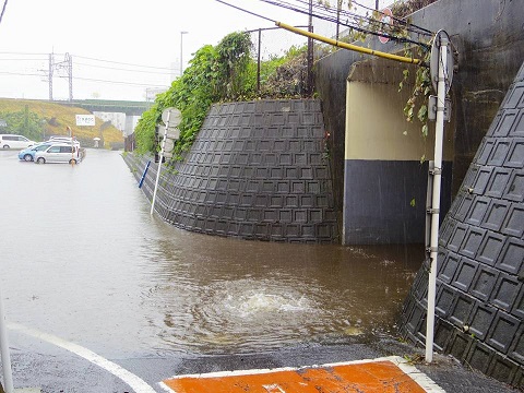 ����ǂ��䂭 In ����܂R