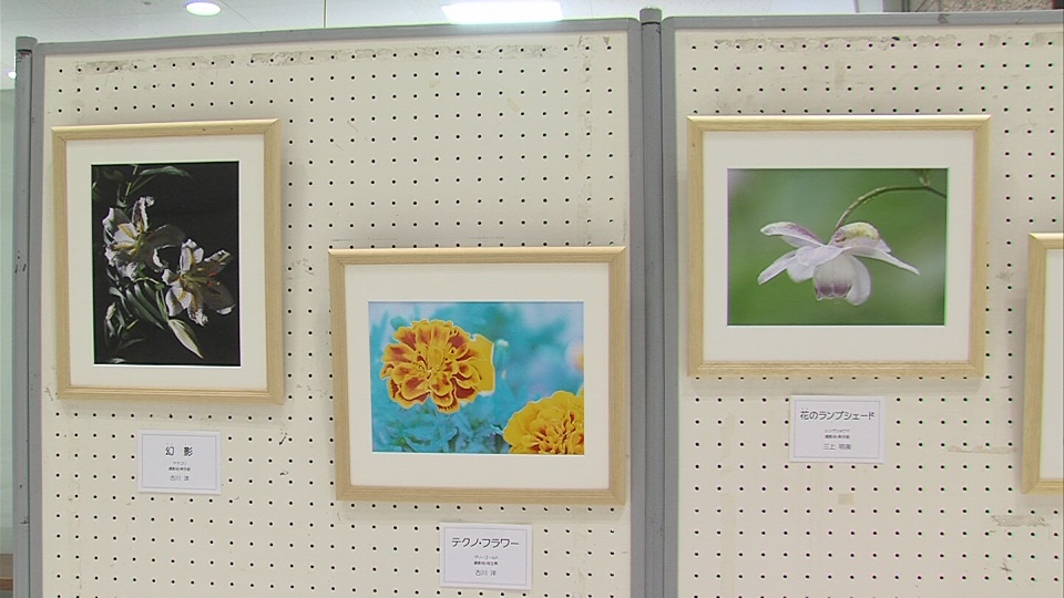 ����ǂ��䂭 In ����܂R