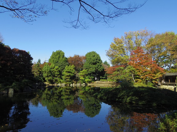 ����ǂ��䂭 In ����܂R