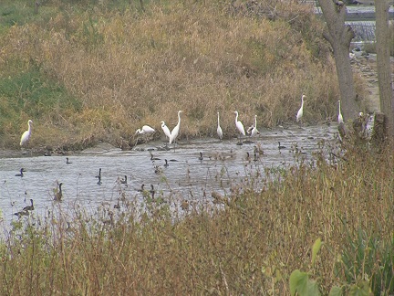 ����ǂ��䂭 In ����܂R