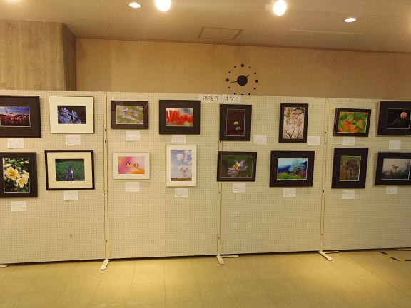 ����ǂ��䂭 In ����܂R